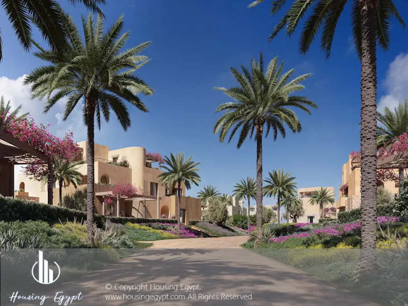 The Town - Ramla - Ras El Hekma