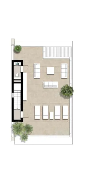 Layouts