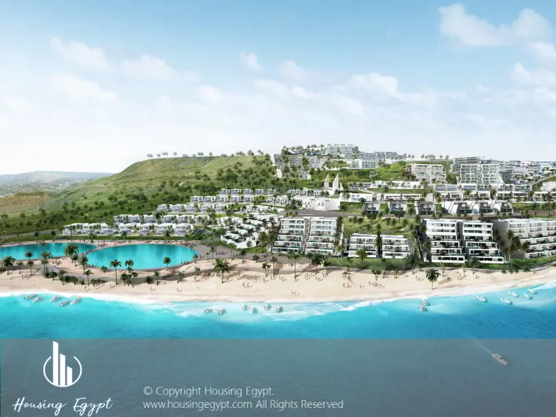 Carnelia - El Galala Mountain