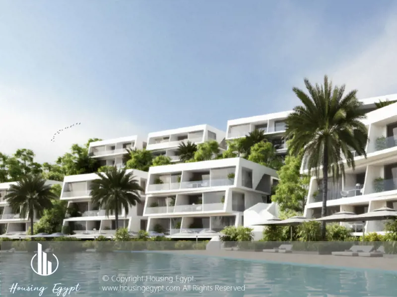 Carnelia - El Galala Mountain