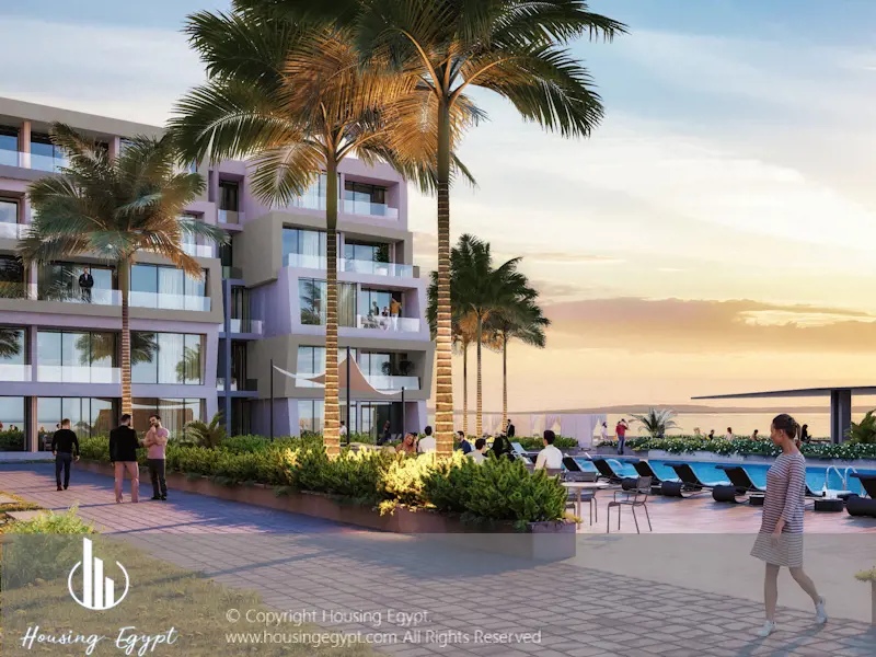 Carnelia - El Galala Mountain