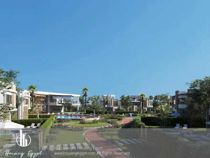 Tawny - 6th Of October