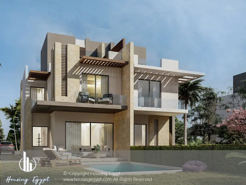 Tawny - 6th Of October