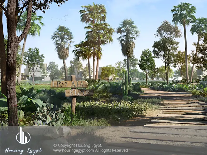 Marsa Baghush - Sidi Heneish