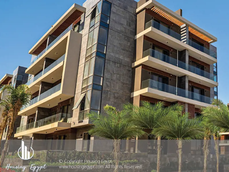 EL Patio ORO - 5th Settlement