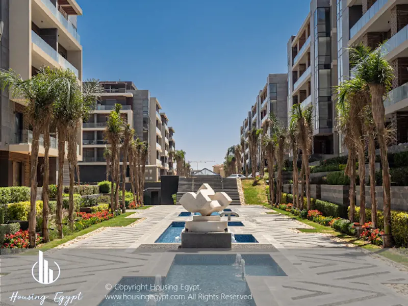 EL Patio ORO - 5th Settlement